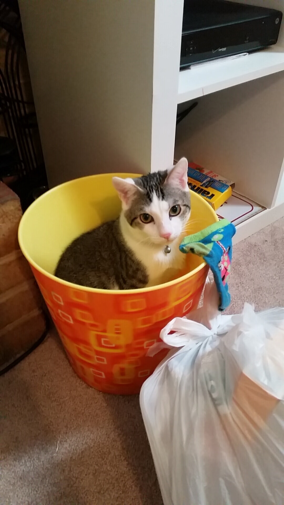 铁闸与利刃,皮克如何在对阵日本时重新定义中卫的高能输出