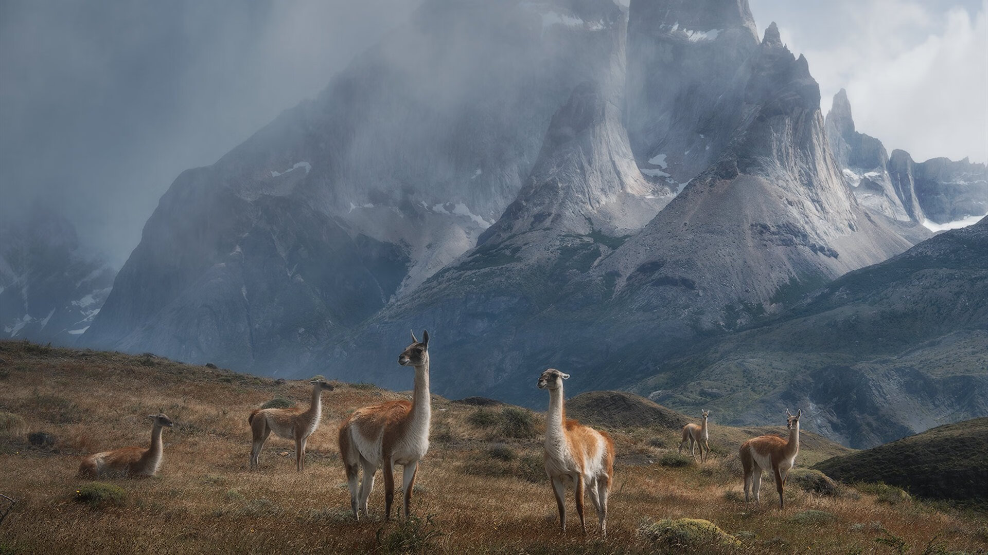 利拉德，为聚光灯而生的杀手本能，纽约尼克斯坦克般碾过深圳队