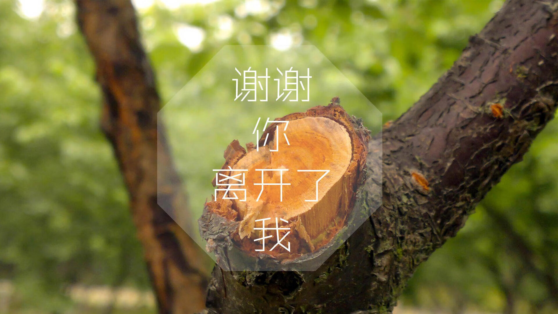 冰与火的独幕剧诗，当德意志战车碾过黄昏，姆巴佩用一束光刺穿永恒